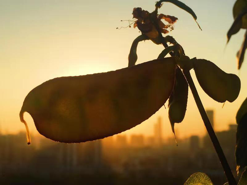 地多寶打卡日?！狹onday