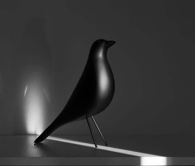 純白極簡風(fēng)，美的驚心動魄！